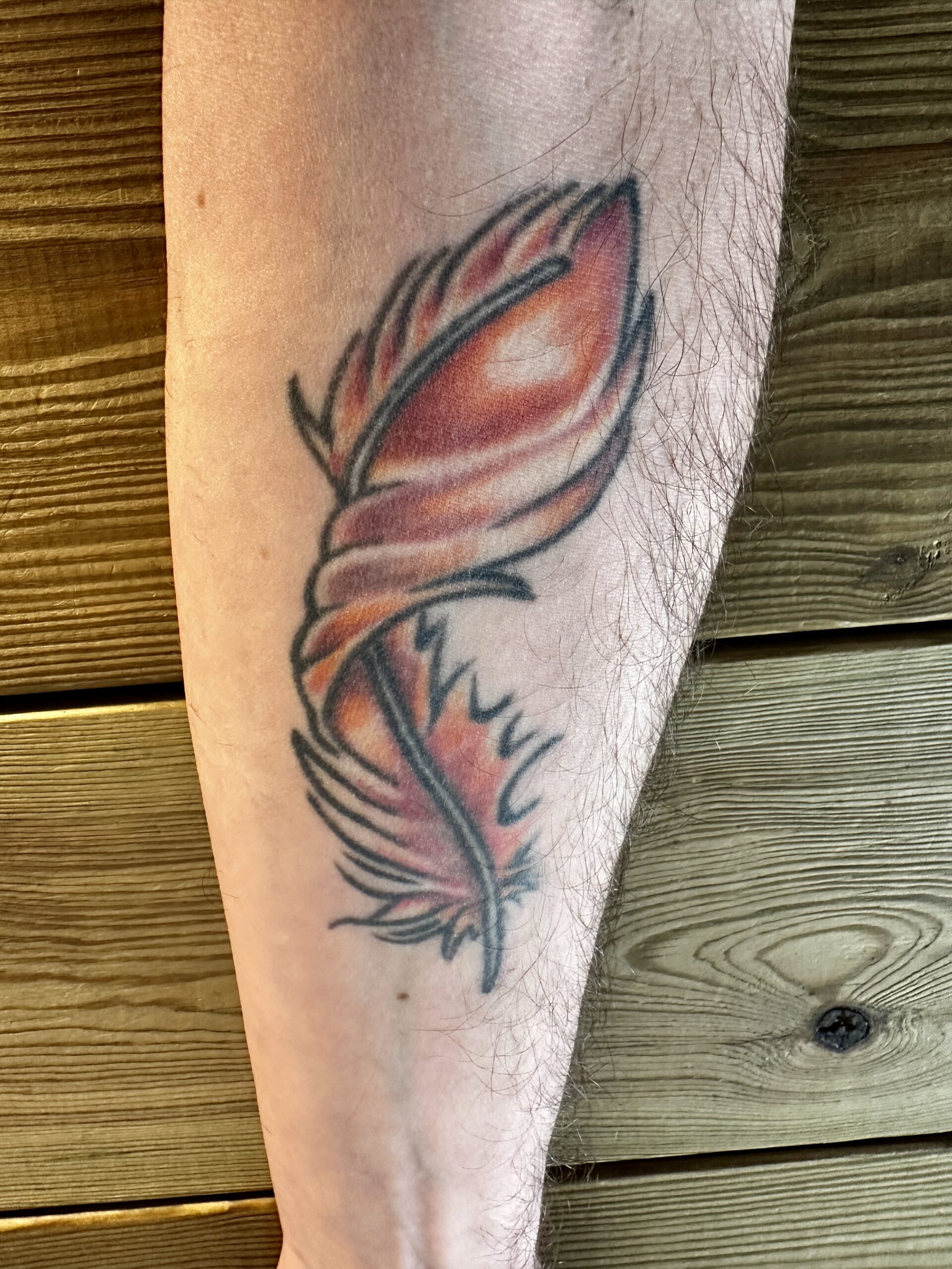 La plume de phénix tatouée sur le bras de Florian, fondateur d'iPhoenix à Saint-Saturnin-lès-Avignon